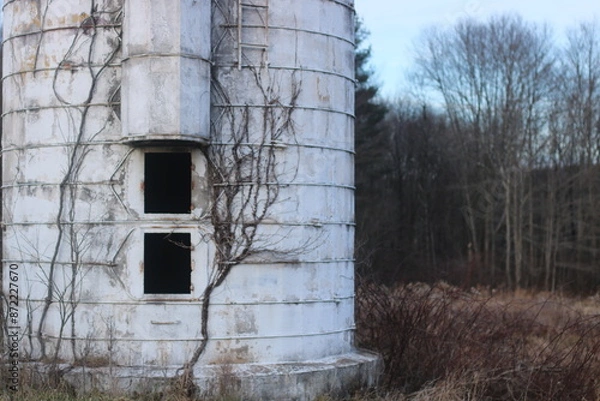 Obraz Overtaken Silo 