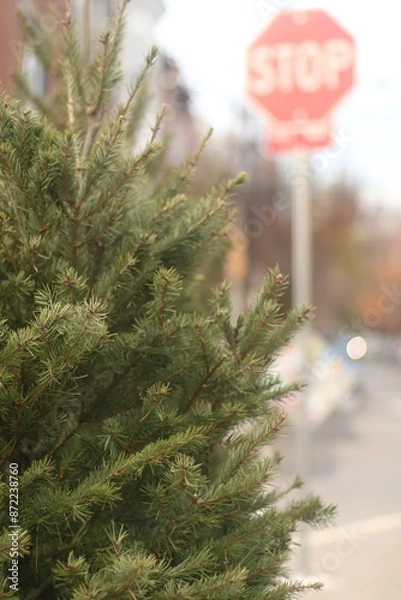 Obraz City Christmas