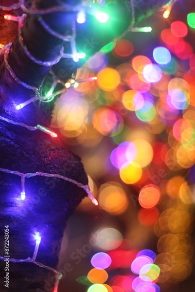 Obraz christmas tree lights