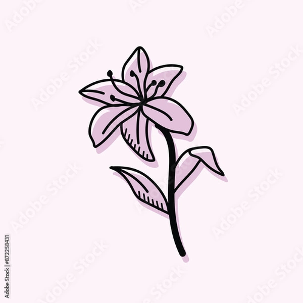 Fototapeta Lilly Flower Doodle Hand Drawn is detailed minimal flower icon which is created with love and care. 