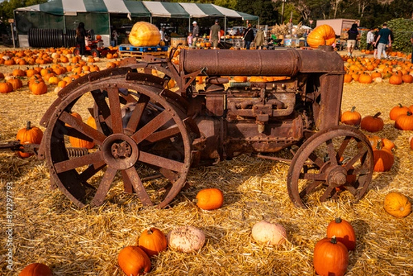 Obraz Fall Pumpkin Patch with Rusted Antique Tractor