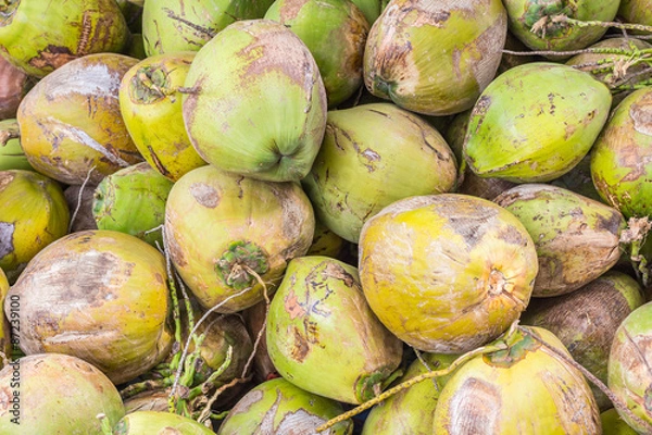 Fototapeta Group of green coconuts