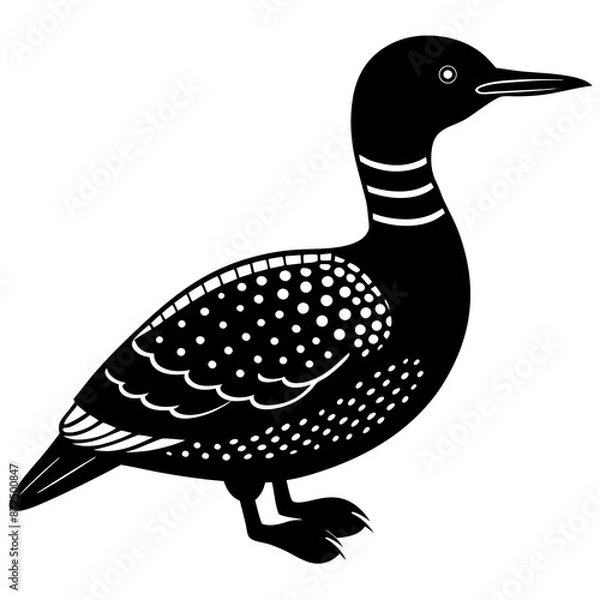 Obraz Arctic Loon bird stands icon vector silhouette