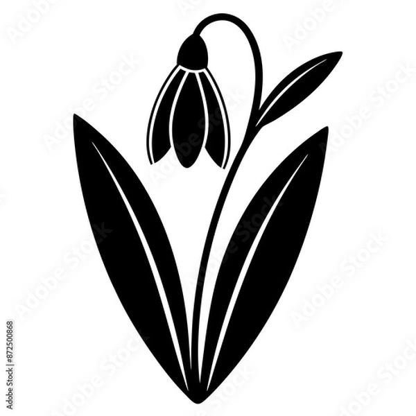 Obraz Snowdrop flower vector silhouette illustration