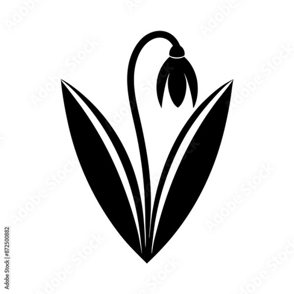 Obraz Snowdrop flower vector silhouette illustration