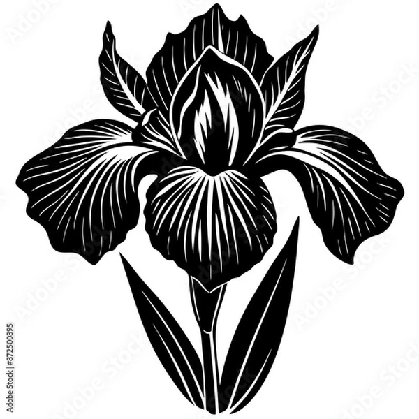 Obraz hyper realistic iris vector silhouette illustration