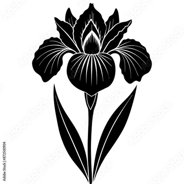 Fototapeta hyper realistic iris vector silhouette illustration