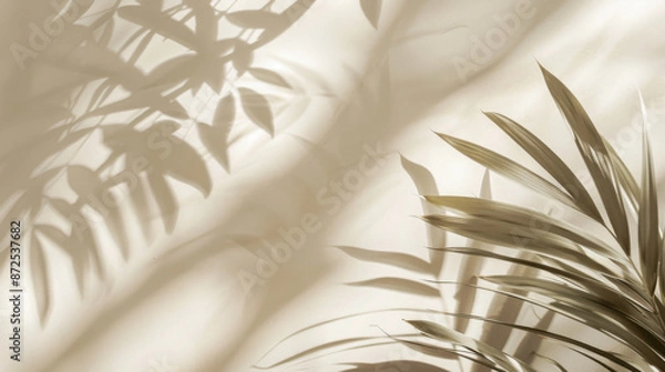 Obraz Soft beige shadow pattern on a light background, creating a gentle and elegant texture