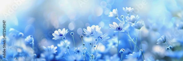 Fototapeta Field of Blooming Blue Flowers in Soft Focus

