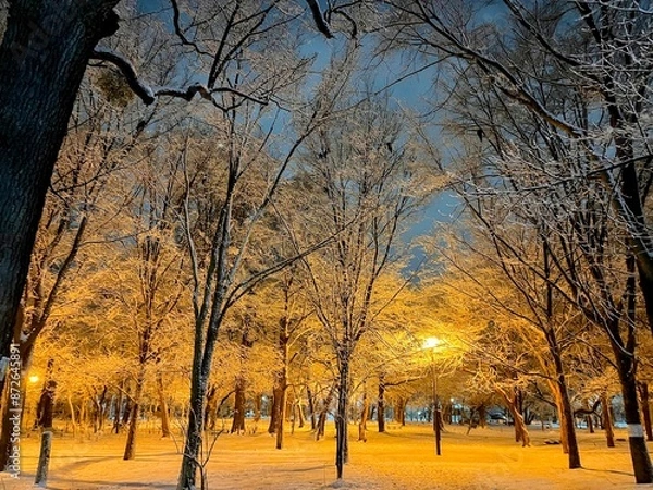 Obraz 冬の森に雪が降る