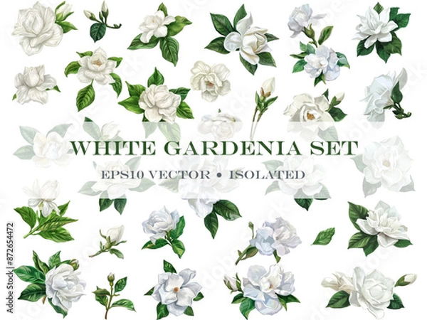 Obraz Vector set of white gardenia flowers with leaves isolated on white background