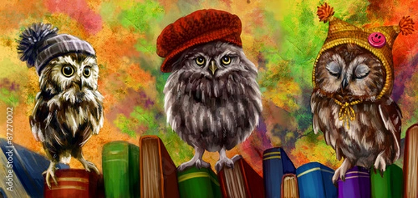 Fototapeta Совы и книги