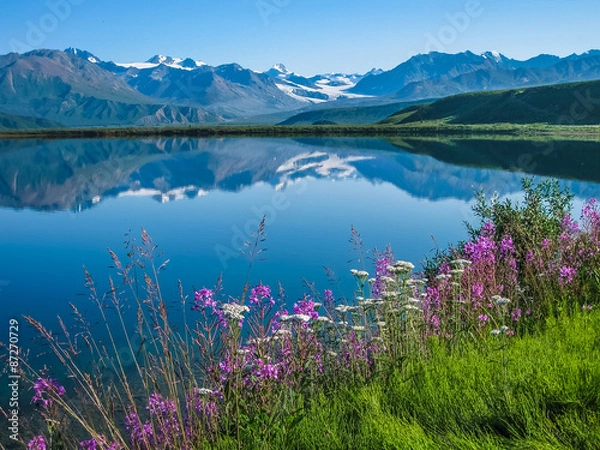 Fototapeta Tanana Valley Alaska