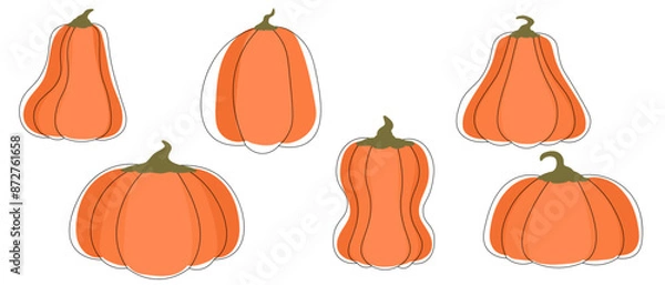 Fototapeta Big orange ripe pumpkins set in abstract flat style. Minimalistic monochrome pumpkins with decorative contour black lines. Isolated on white. Autumn harvest season. Natural products.