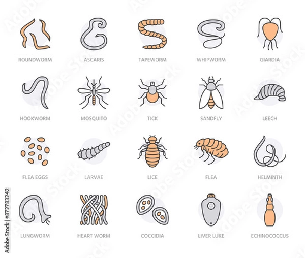 Obraz Parasites flat line icons set. Intestinal worm, helminth, sandfly, tick, dog flea, leech, qiardia, dengue mosquito illustrations. Outline signs for parasitology. Orange color. Editable Strokes
