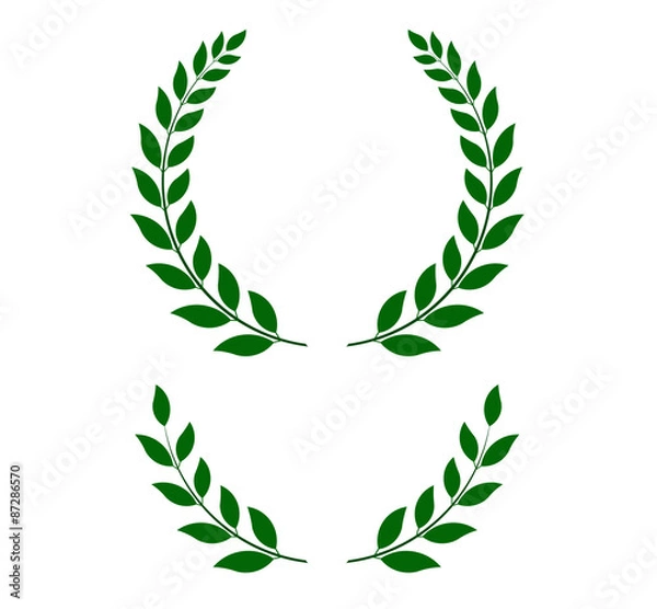 Fototapeta green laurel wreaths - vector illustration 