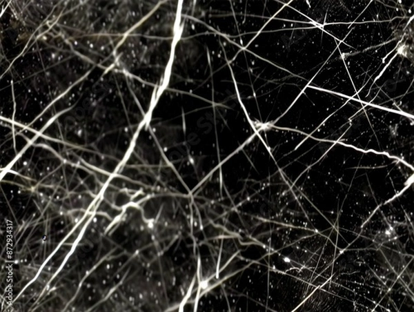 Fototapeta Seamless Scratch Grunge Roughness Map Texture Tiled