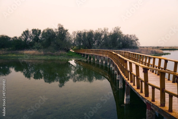 Obraz panoramic view in the Las Tablas de Daimiel national park, Castilla la Mancha, Spain.