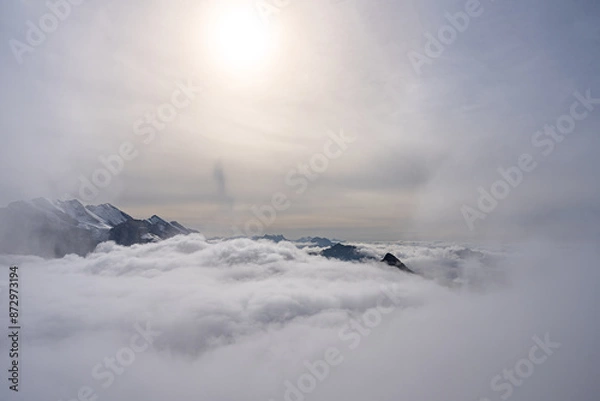 Fototapeta View of Swiss Alps over clouds on a bright sunny day from Schilthorn summit in Switzerland