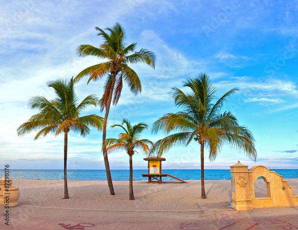Fototapeta Landscape with palm trees on a beautiful sunny summer afternoon in Hollywood Beach near Miami Florida with ocean and blue sky in the background