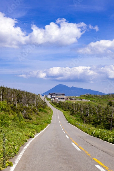 Obraz 八幡平アスピーテラインより岩手山（岩手県八幡平市）