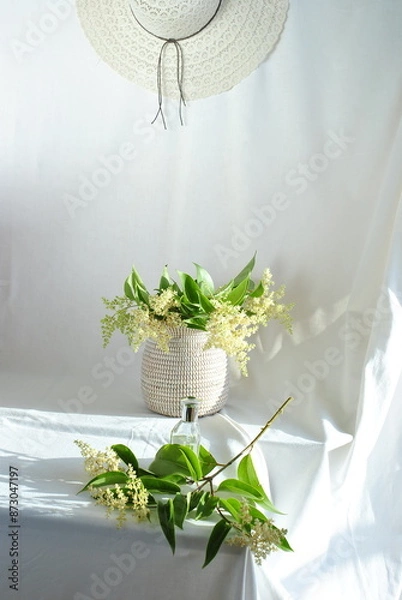 Obraz white hat and flowerson a white background 