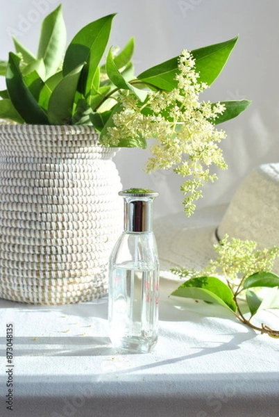 Obraz white hat and flowerson a white background 