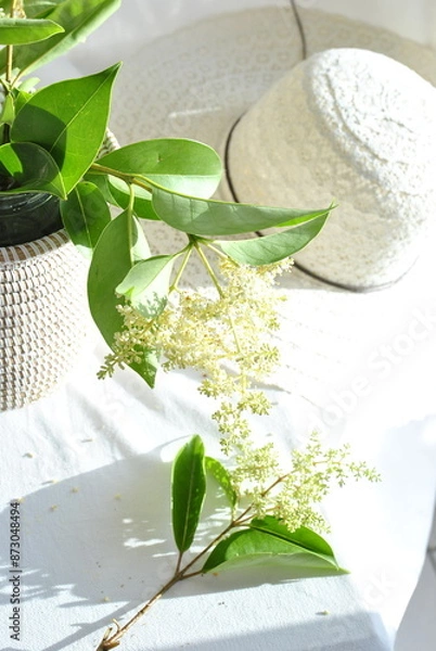 Obraz white hat and flowerson a white background 