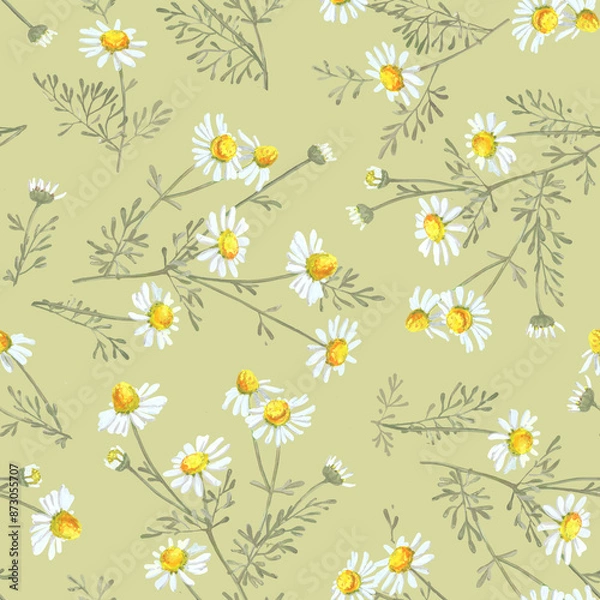 Obraz Chamomile flower bouquets on a light green background. Botanical sketch of medical herb for label, herbal tisane tea packaging, fashion prints. Hand drawn seamless pattern