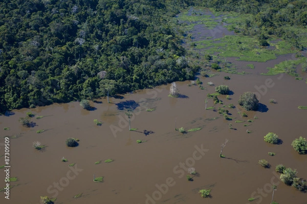 Obraz 増水したアマゾン川