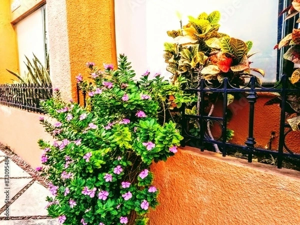 Obraz Flowers on Pathway 