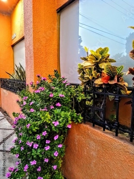 Obraz Flowers on Pathway 