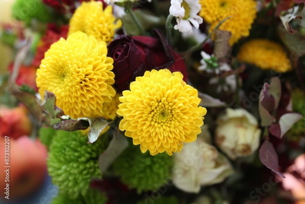 Fototapeta yellow flowers