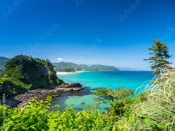 Obraz 伊豆下田の白浜海岸