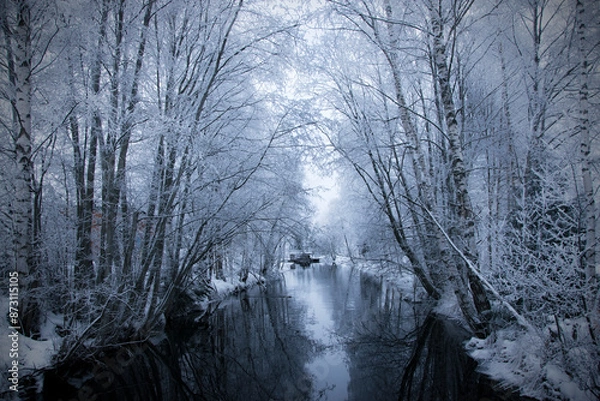 Obraz Winter landscape