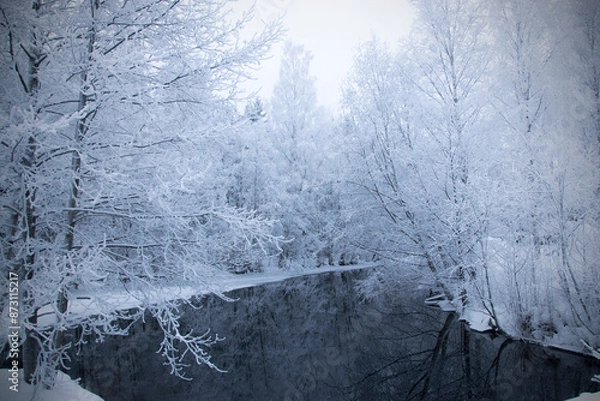 Obraz Winter landscape lake