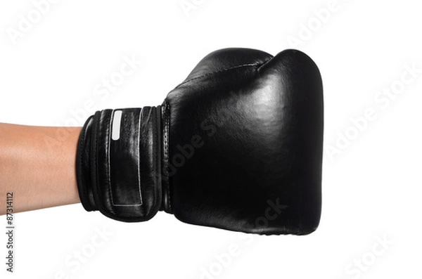 Obraz ready for fight