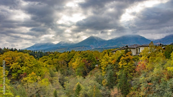 Obraz 白金温泉の黄葉