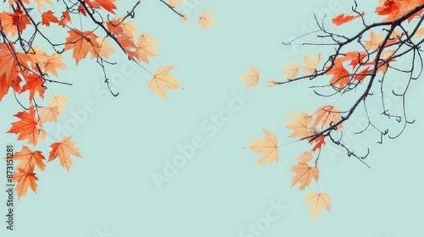 Obraz Maple leaves on tree branches against plain background