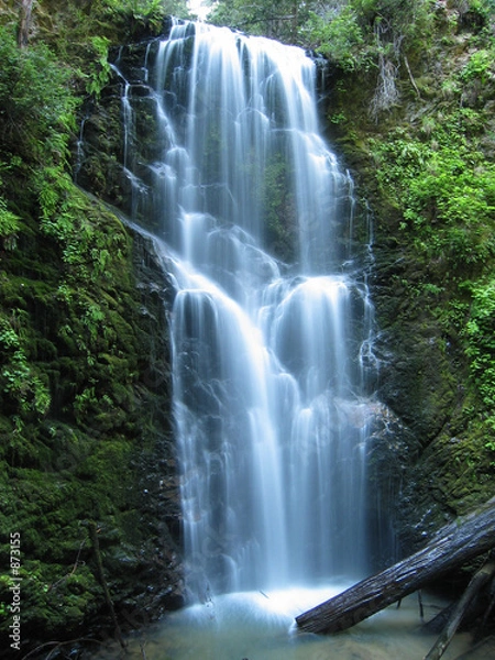 Obraz Berry Creek Falls