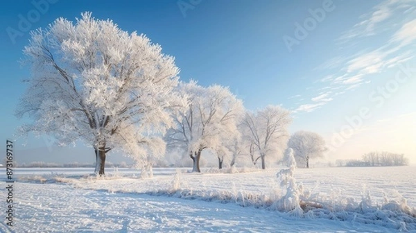Fototapeta Frosty Winter Scenery
