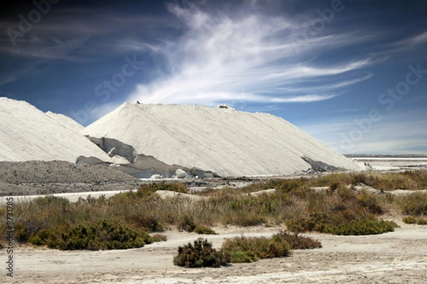Obraz salins de giraud