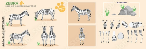 Obraz LC_Zebra_01Cute Zebra character broken down, ready to animate with multiple angles and poses, rig ready safari animal collection. 