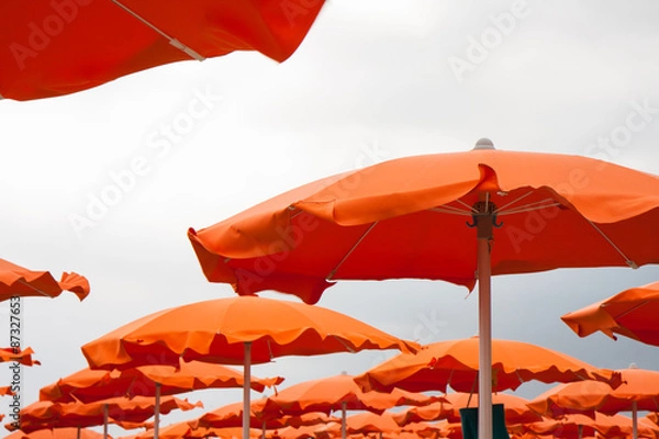 Fototapeta Umbrellas and sunbeds in Rimini and Riccione and Cattolica Beach