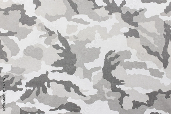 Obraz Camouflage pattern and background.
