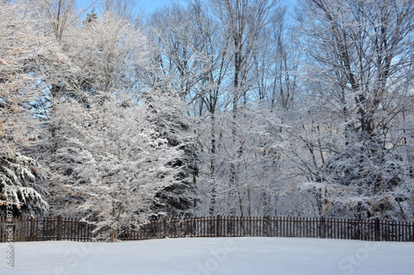 Obraz Frozen Back Forty