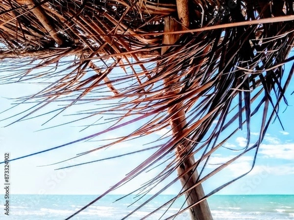 Obraz Blue Sky Blue Sea