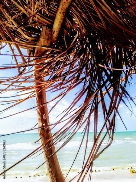 Obraz Blue Sky Blue Sea