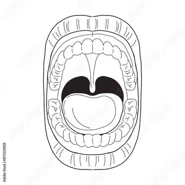 Fototapeta part of mouth hand drawn vector illustration