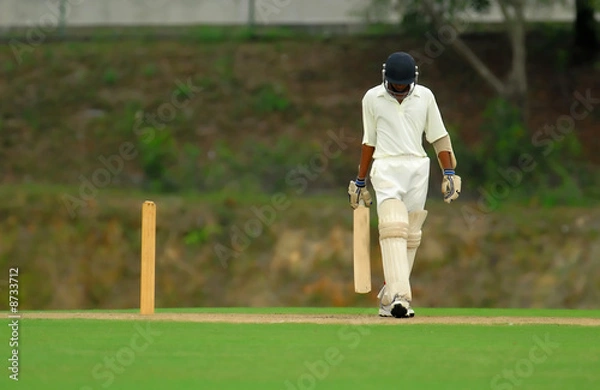 Obraz Stock Photo of batsman